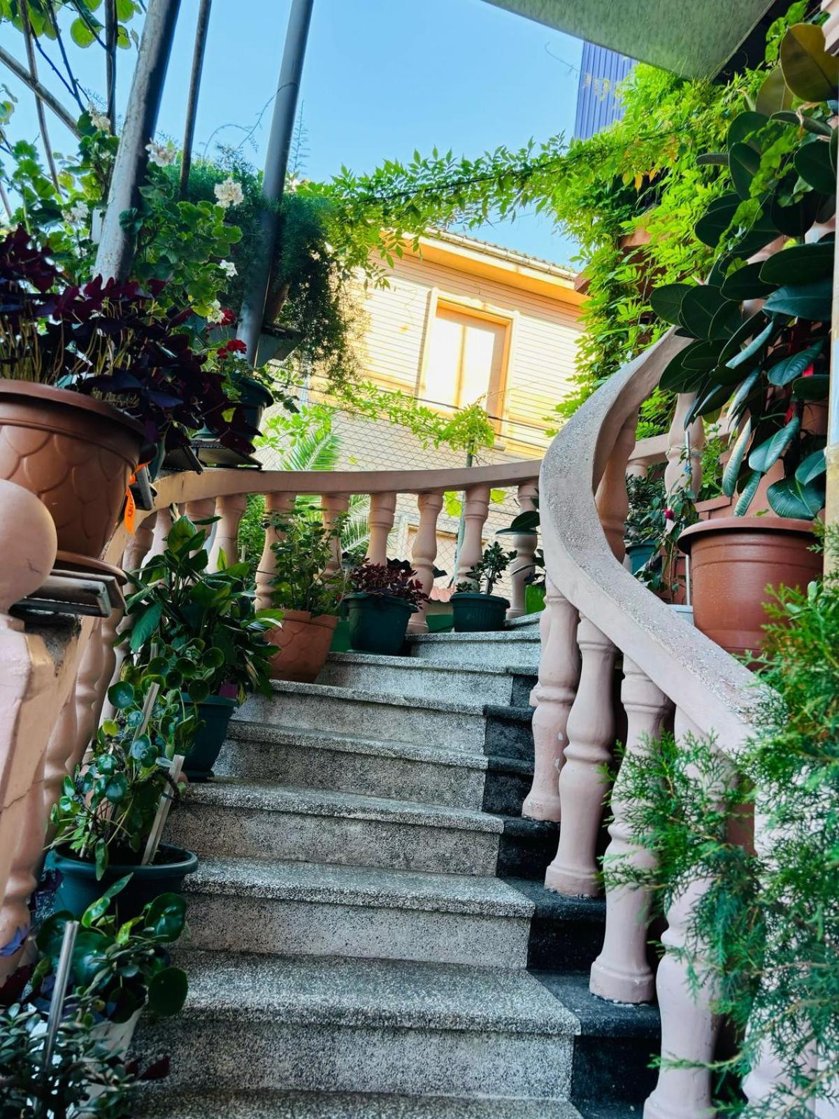 Nana'S House Hotel บาทูมิ ภายนอก รูปภาพ