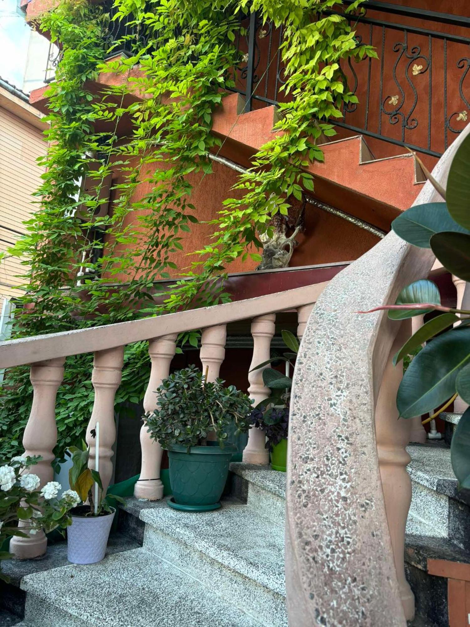 Nana'S House Hotel บาทูมิ ภายนอก รูปภาพ